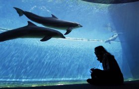 Working Spaces - <p>GENOVA AQUARIUM, Genova, Italy</p>